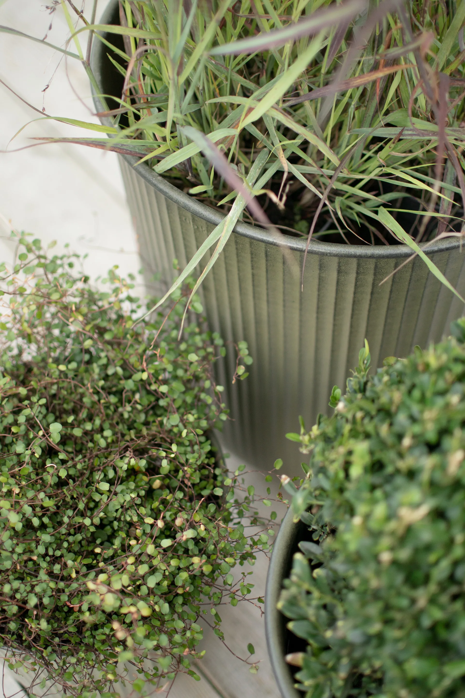 Out stripe bloempot 3-pack, Green DBKD