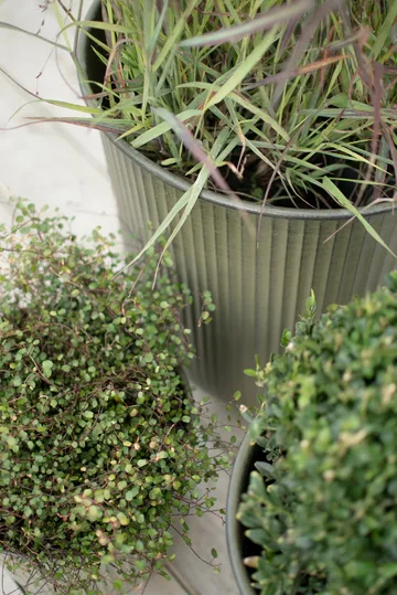 Out stripe bloempot 3-pack - Green - DBKD