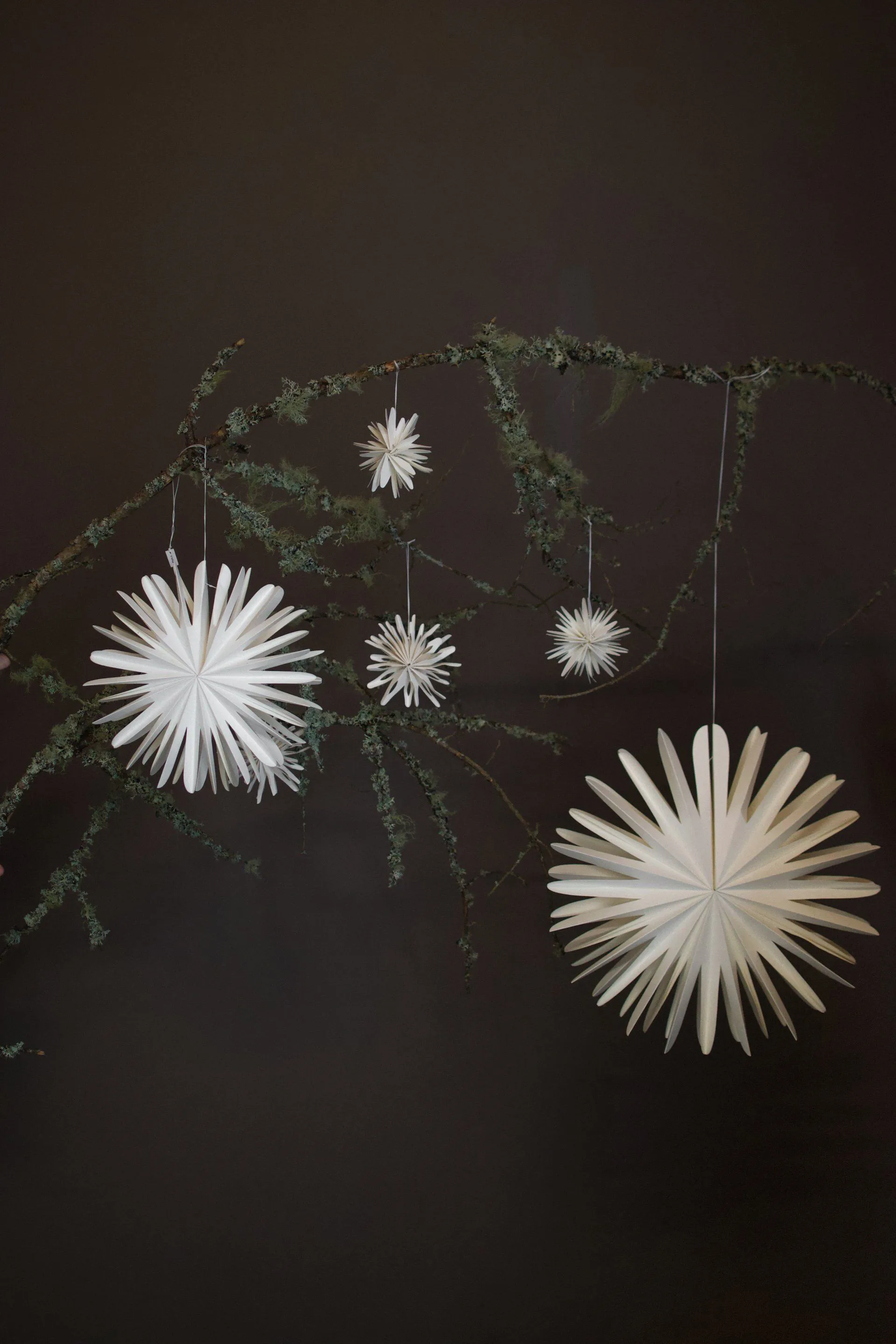 Paper flake kersthanger, Extra groot DBKD