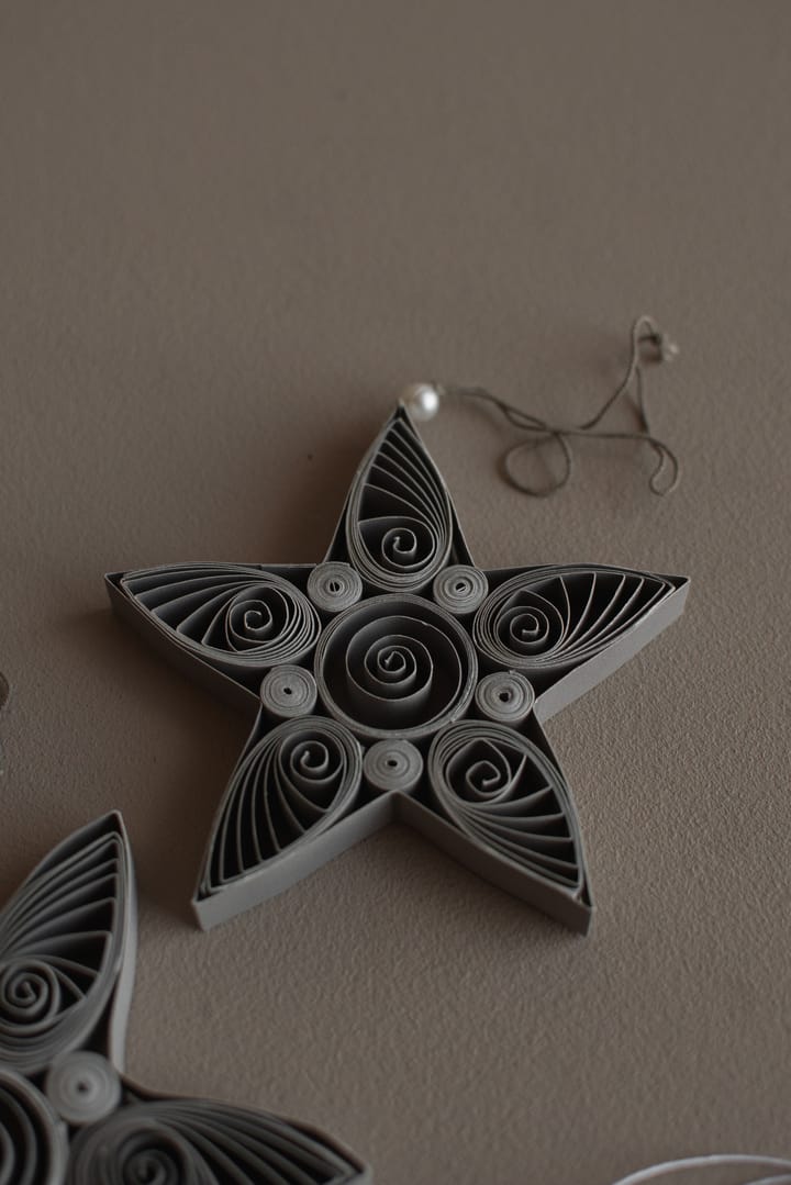 Paper star kersthanger 10,5 cm, Mole DBKD