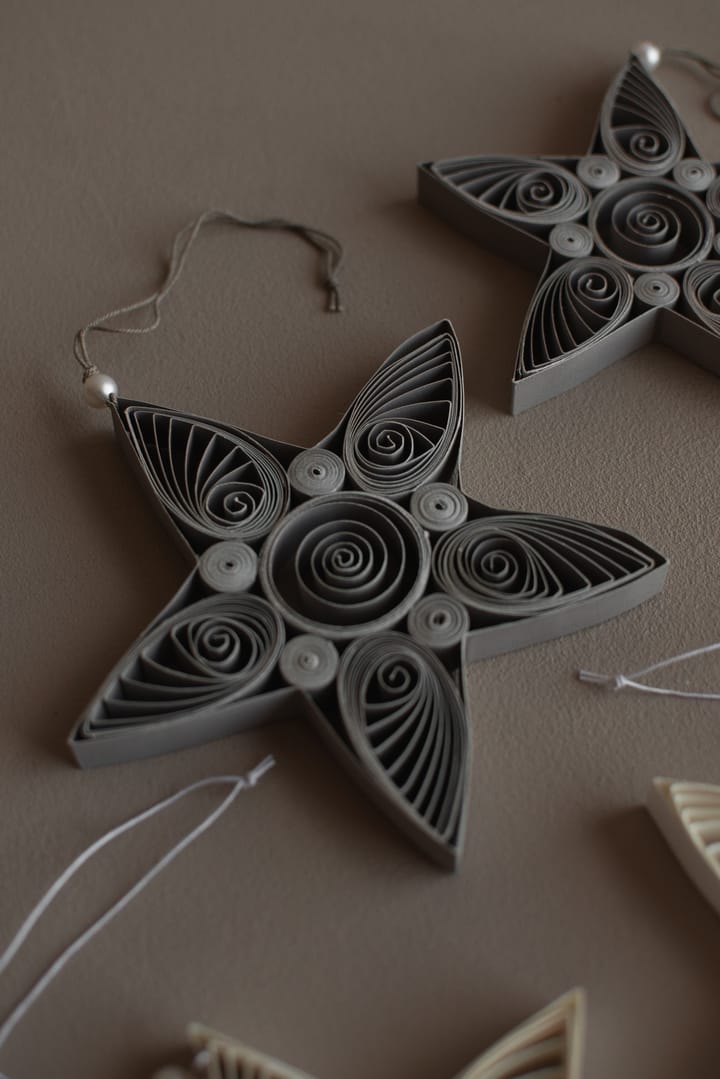 Paper star kersthanger 10,5 cm, Mole DBKD