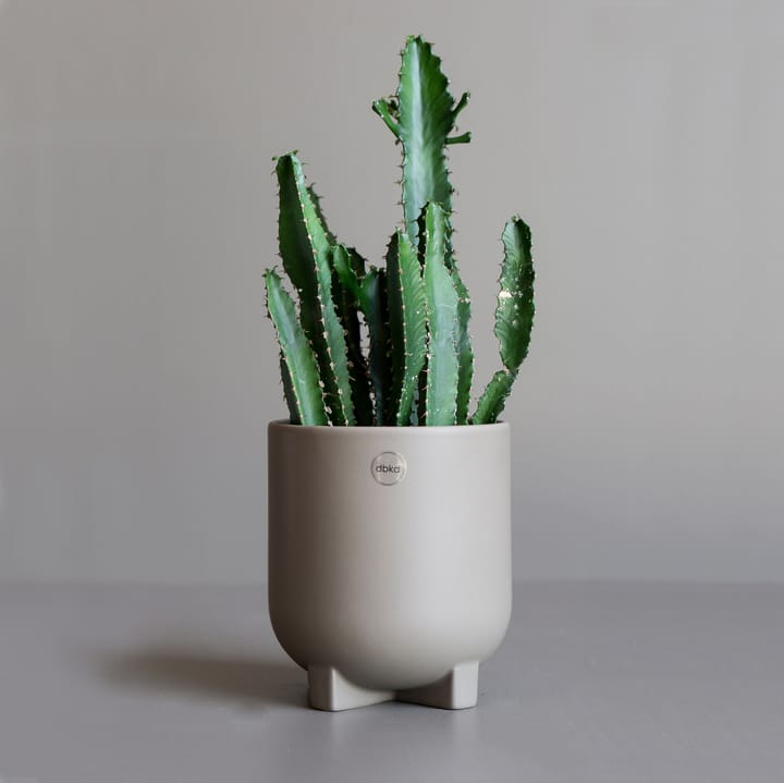 Plus pot Ø14 cm, Dust DBKD