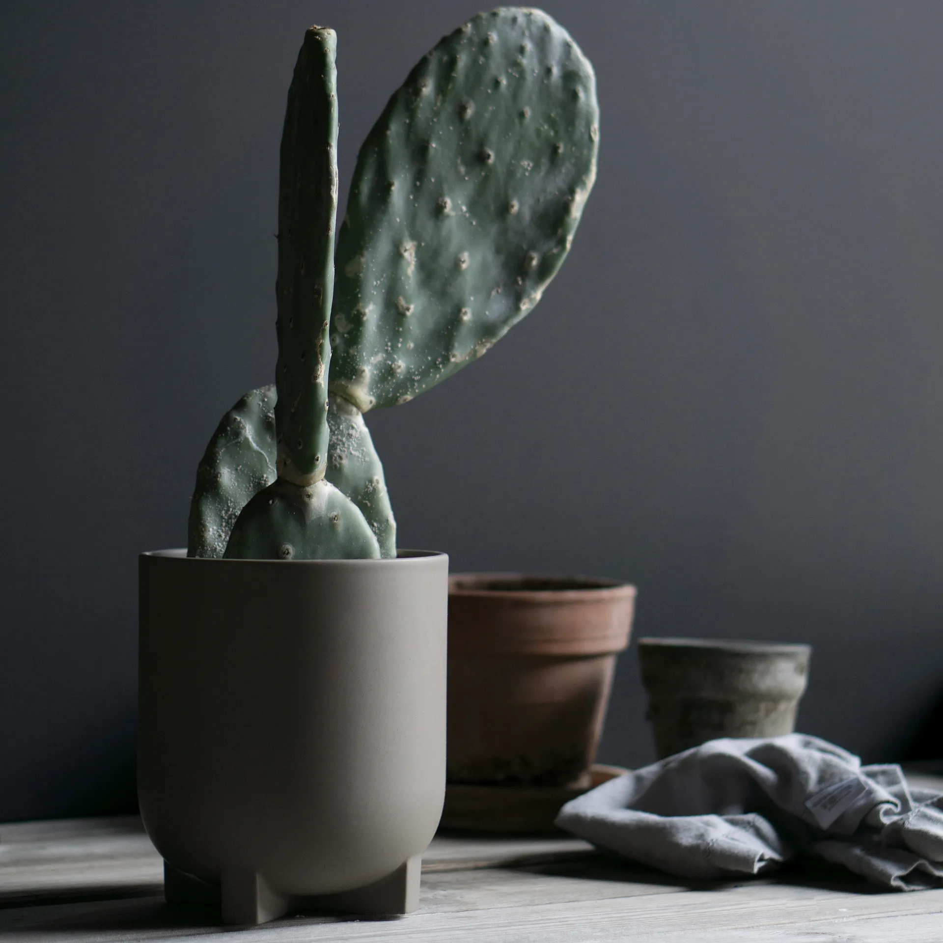 Plus pot Ø16 cm, Dust DBKD