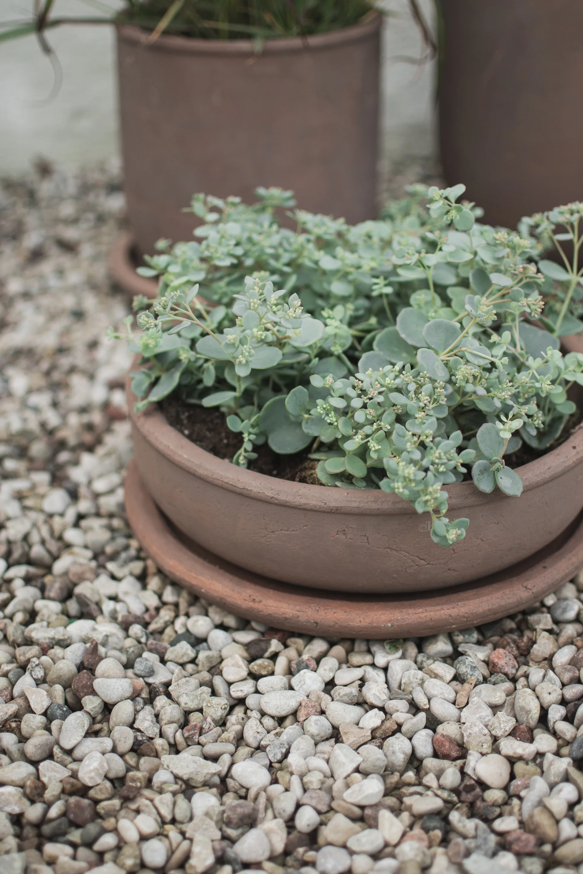 Terra bowl pot, Brown, Ø30x10,5 cm DBKD