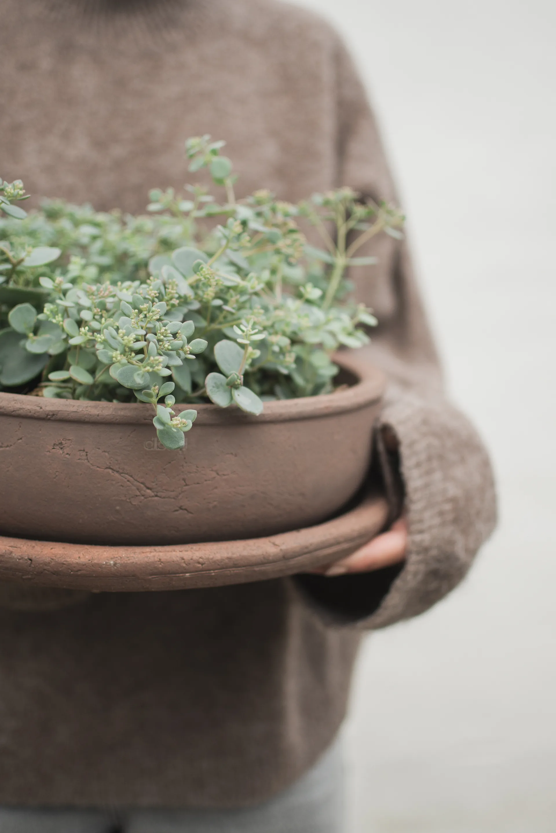 Terra bowl pot, Brown, Ø30x10,5 cm DBKD