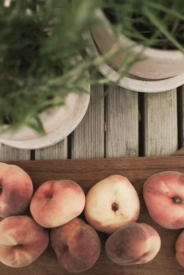 Terra pot - Sand, Ø16x16 cm - DBKD