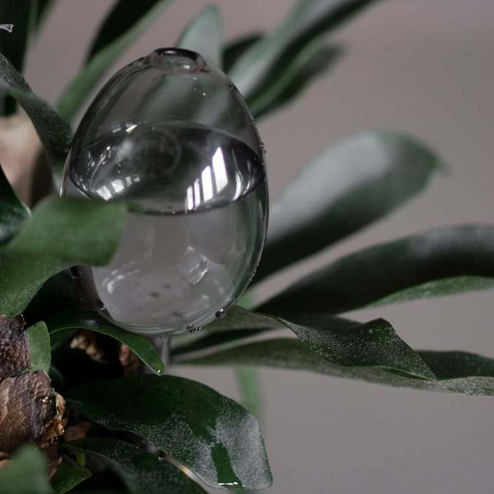 Waterbubble waterdruppelaar, Clear DBKD