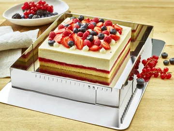 Verstelbare bakvorm - 43x29cm tot 56x84cm - De Buyer