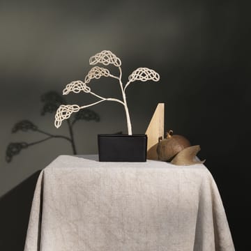 Bonsai geurboom, set - cloud - Design House Stockholm