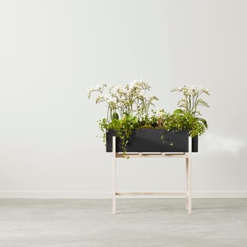 Botanic flower stand - Zwart-essen - Design House Stockholm