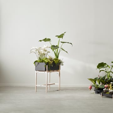 Botanic flower stand - Zwart-essen - Design House Stockholm