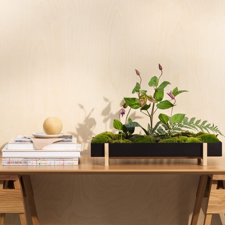 Botanic Flower Tray plantendienblad, zwart Design House Stockholm