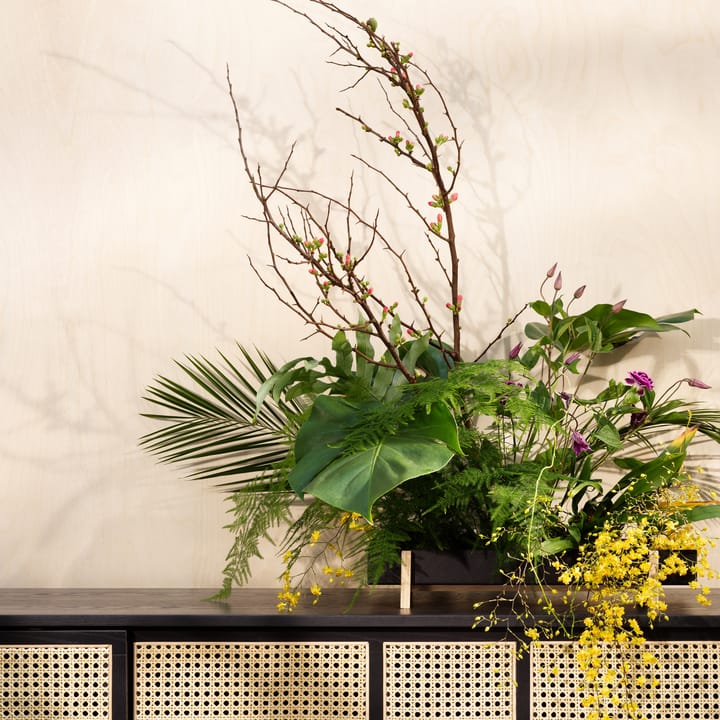 Botanic Flower Tray plantendienblad, zwart Design House Stockholm
