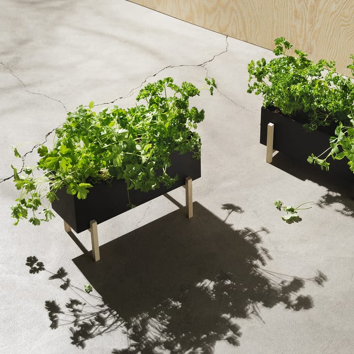Botanic herb box, Zwart-esp Design House Stockholm