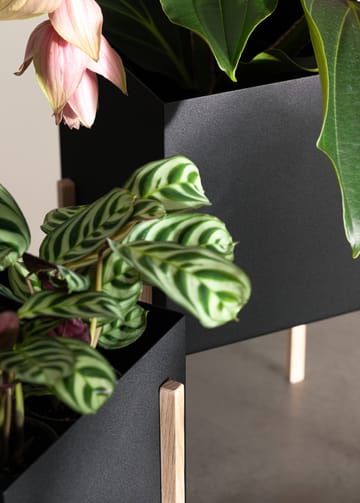 Botanic pot bloempot - Zwart-essen - Design House Stockholm