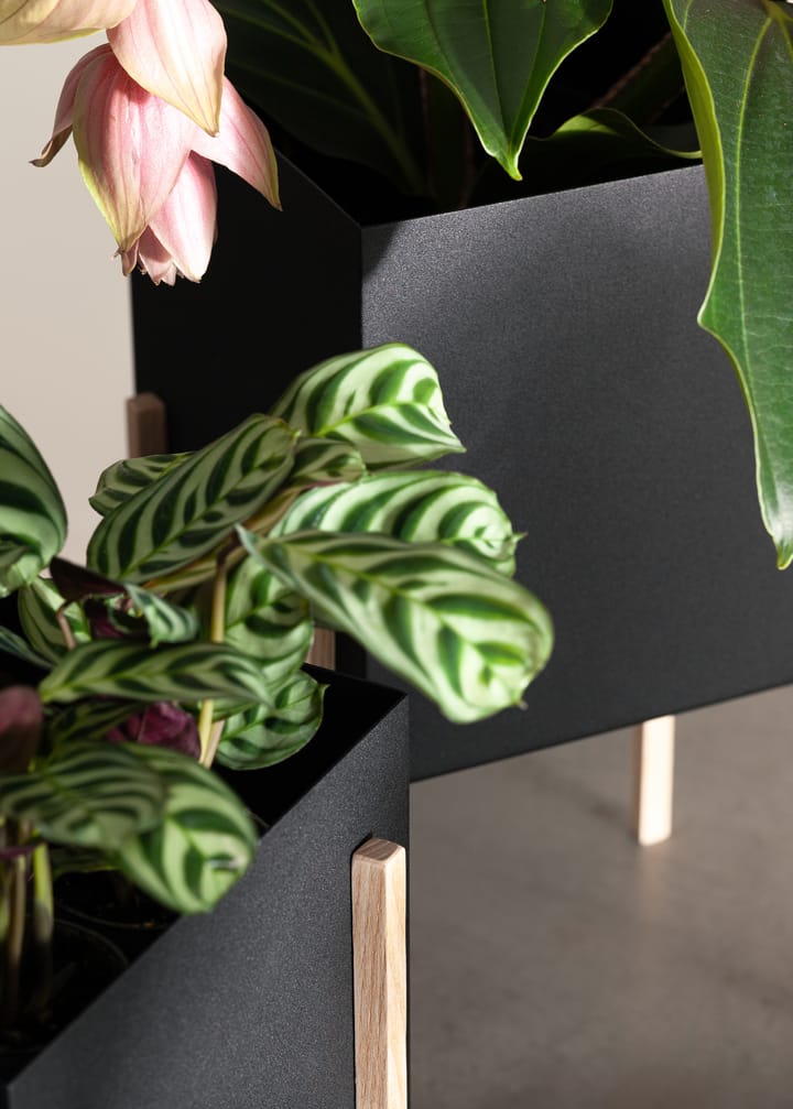 Botanic pot bloempot, Zwart-essen Design House Stockholm