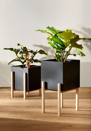 Botanic pot bloempot - Zwart-essen - Design House Stockholm