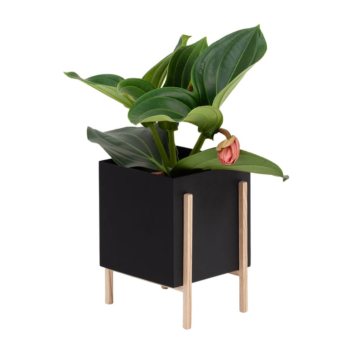 Botanic pot bloempot, Zwart-essen Design House Stockholm