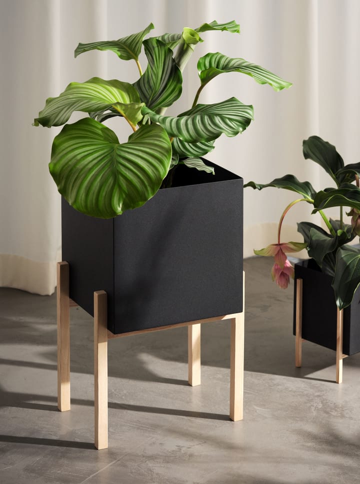Botanic pot op houder, Zwart-essen Design House Stockholm