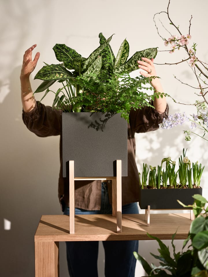 Botanic pot op houder, Zwart-essen Design House Stockholm