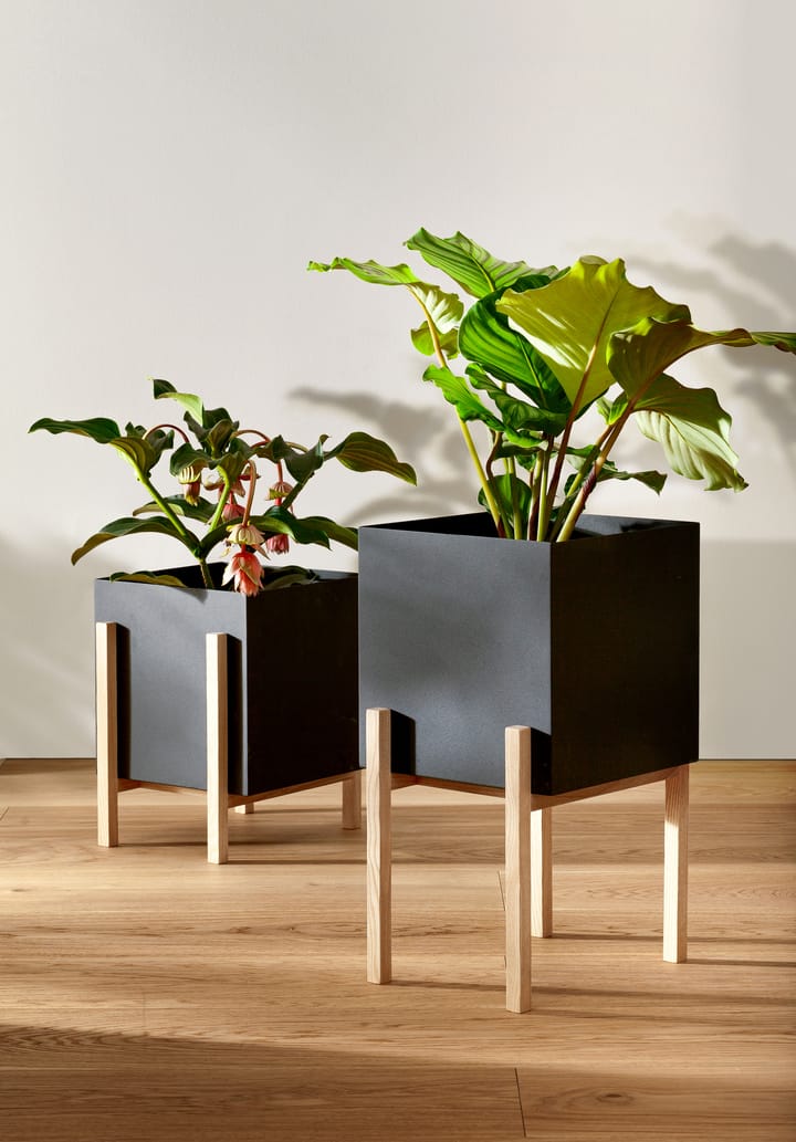 Botanic pot op houder, Zwart-essen Design House Stockholm