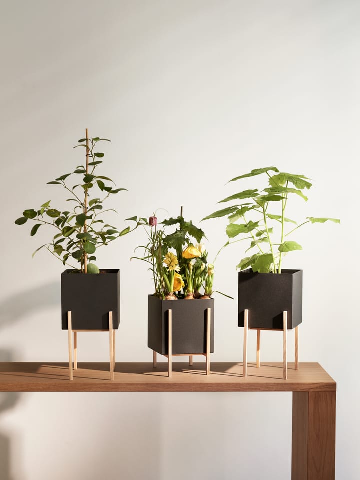 Botanic pot op houder, Zwart-essen Design House Stockholm