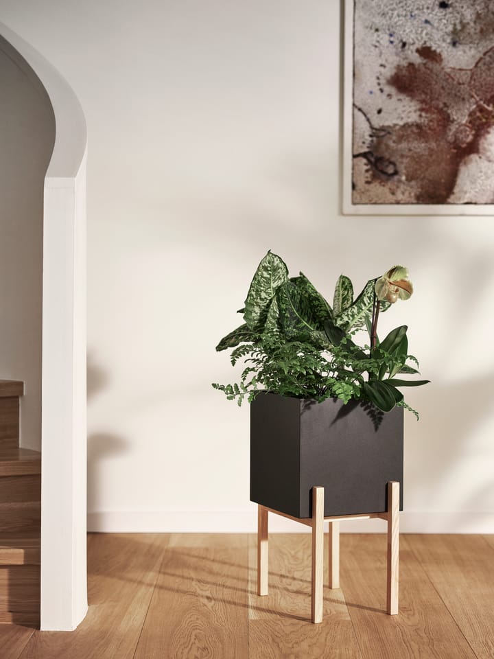 Botanic pot op houder, Zwart-essen Design House Stockholm