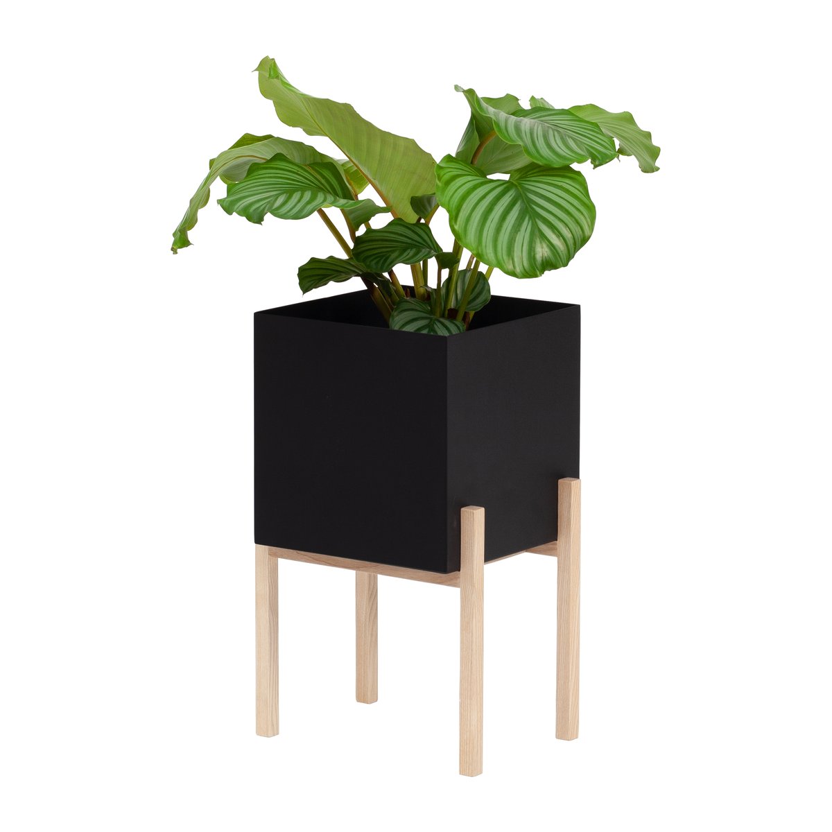 Design House Stockholm Botanic pot op houder Zwart-essen