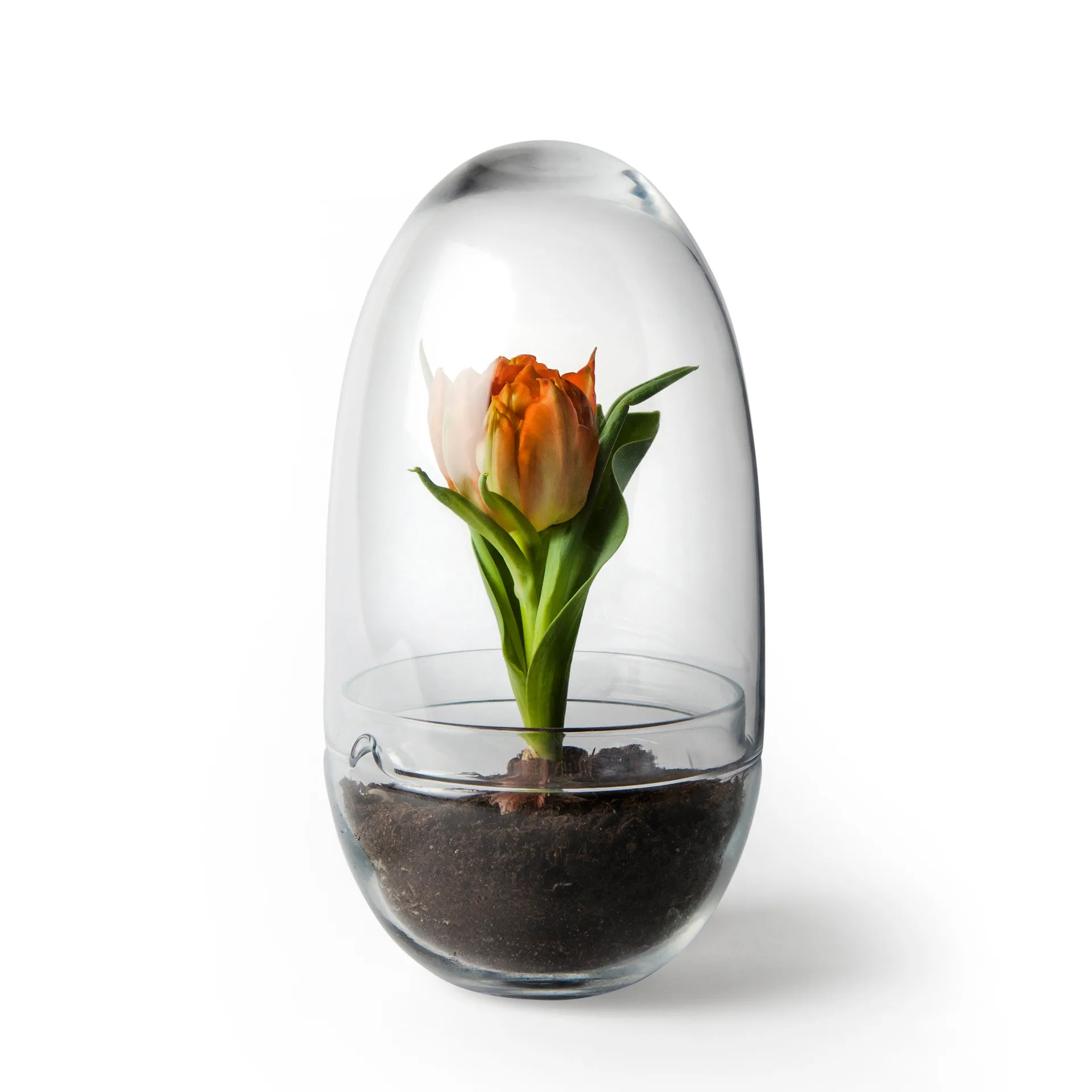 Grow kas, Middel Ø11 cm Design House Stockholm