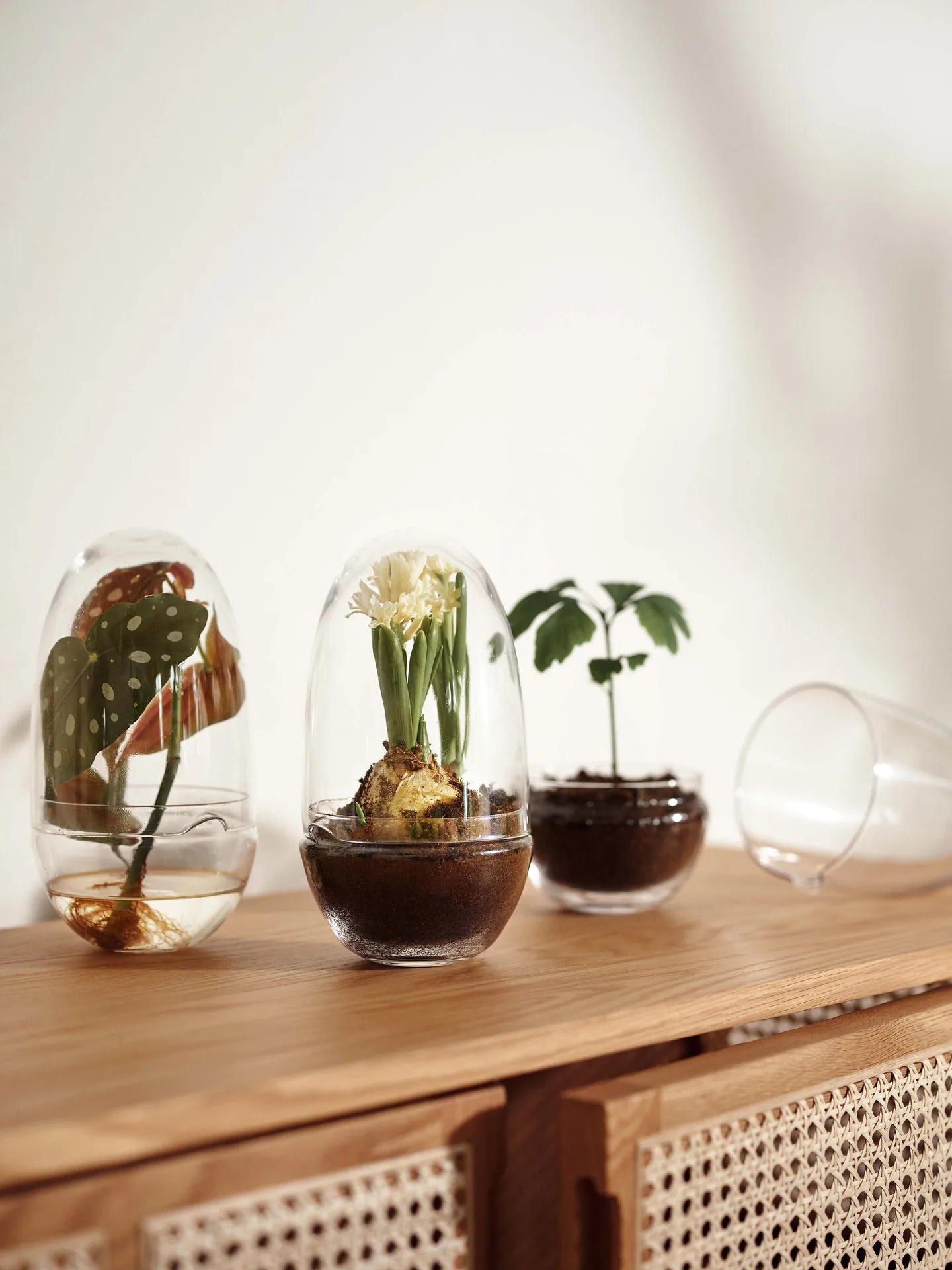 Grow kas, Middel Ø11 cm Design House Stockholm