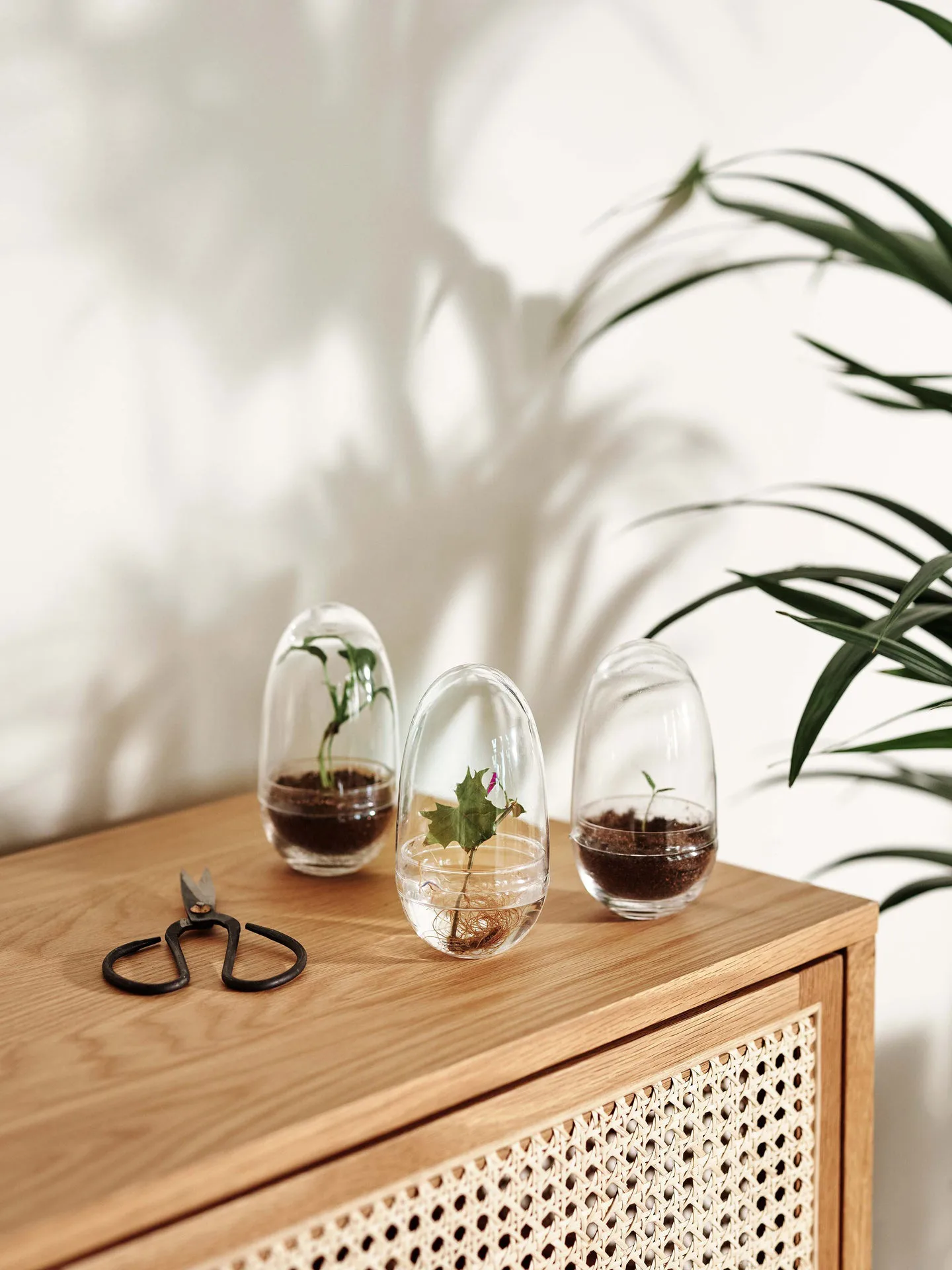 Grow kas, small Ø8 cm Design House Stockholm