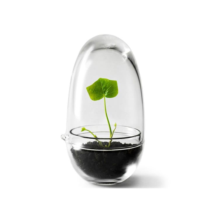 Grow kas - small Ø8 cm - Design House Stockholm