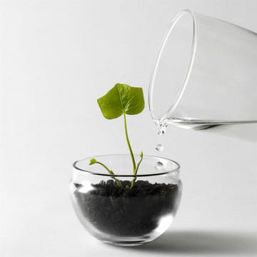 Grow kas - small Ø8 cm - Design House Stockholm