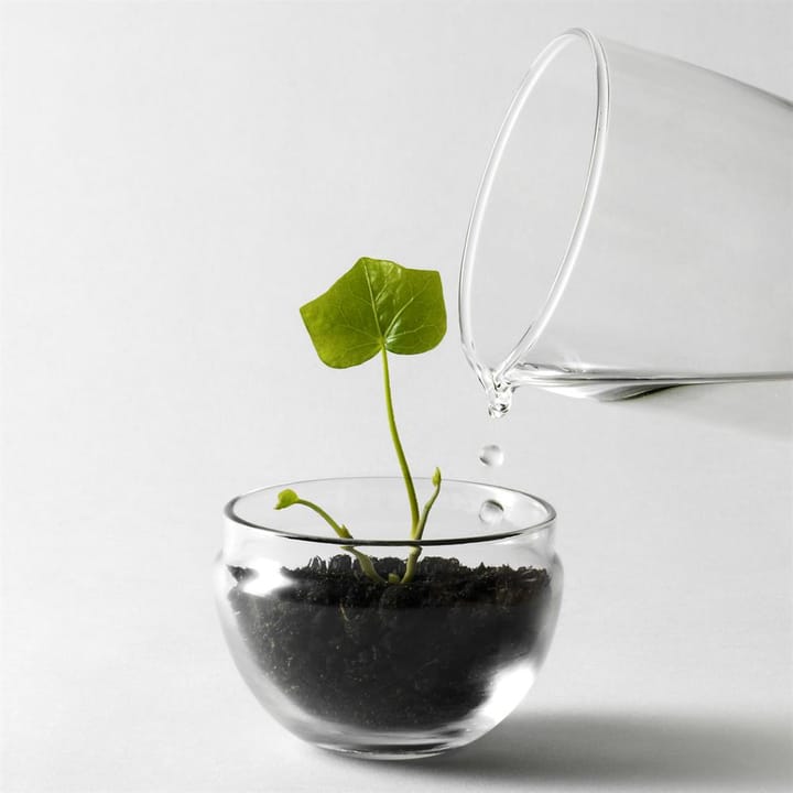 Grow kas, small Ø8 cm Design House Stockholm