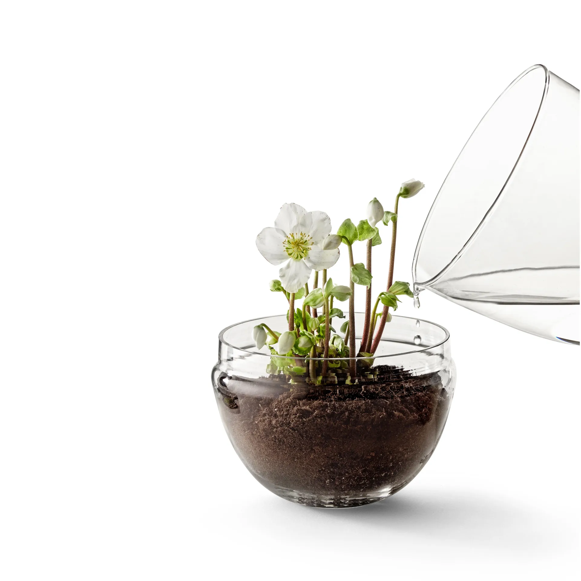 Grow kas, x-large Ø20 cm Design House Stockholm