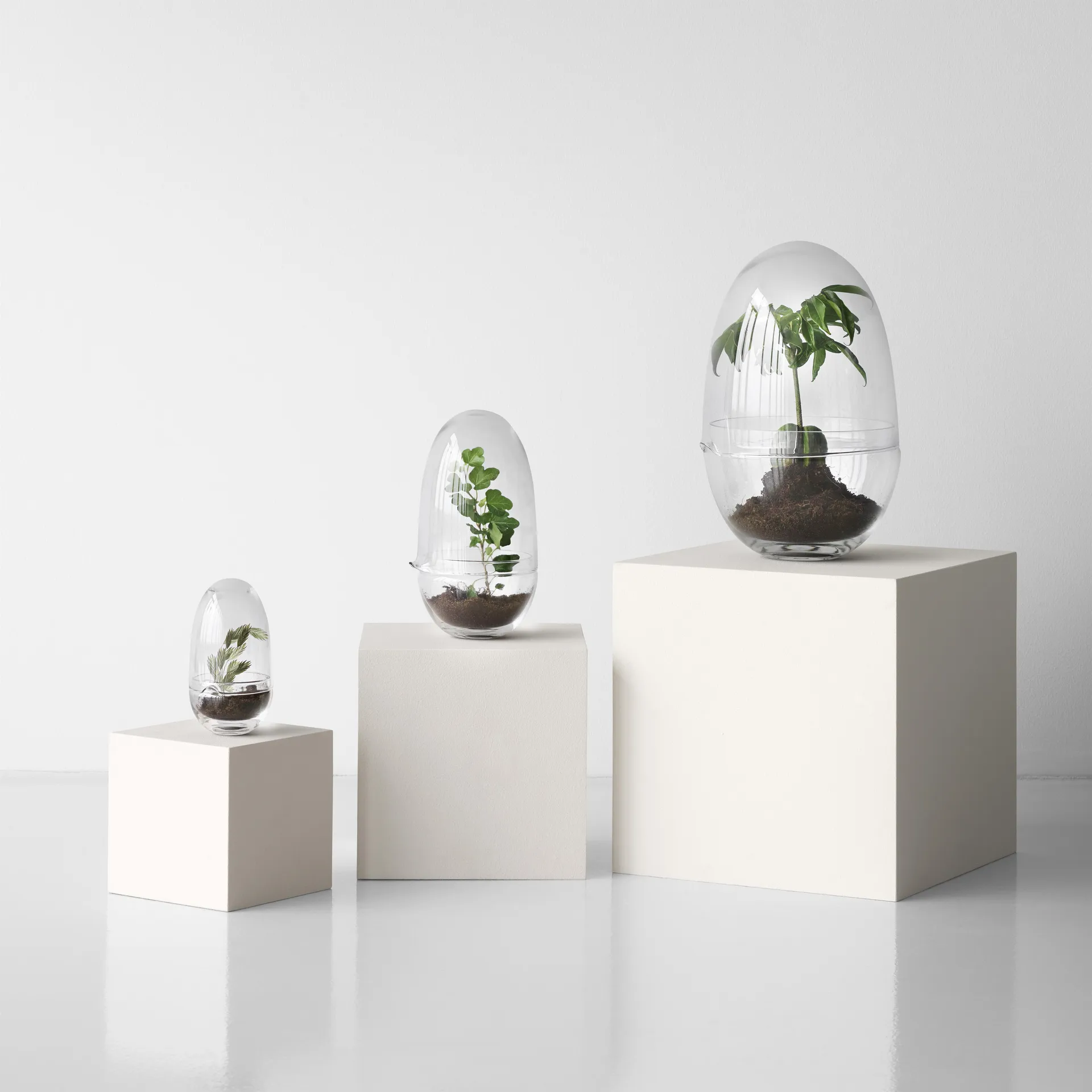 Grow kas, x-large Ø20 cm Design House Stockholm