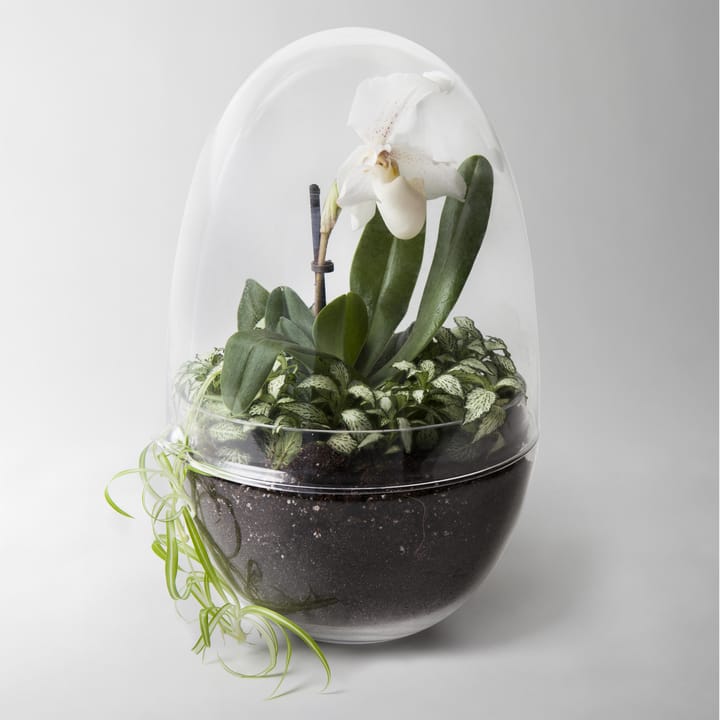 Grow kas, x-large Ø20 cm Design House Stockholm