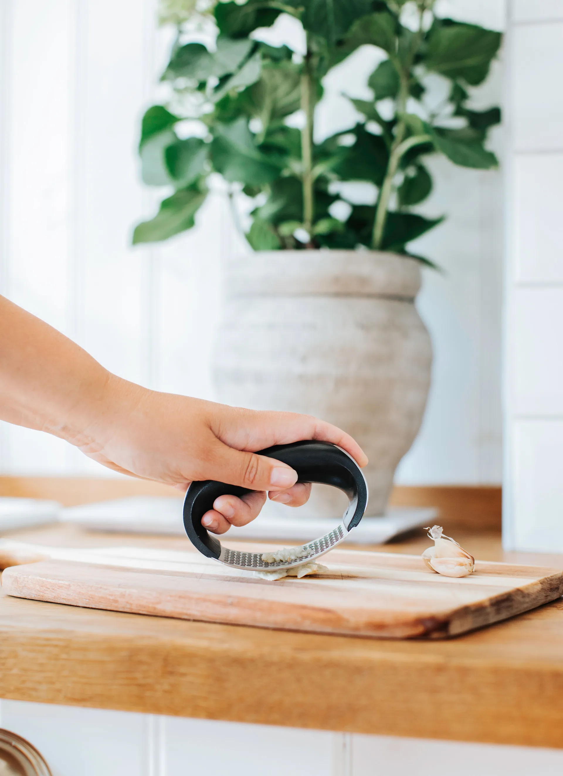 Garli knofloofpers, Roestvrij staal Dorre