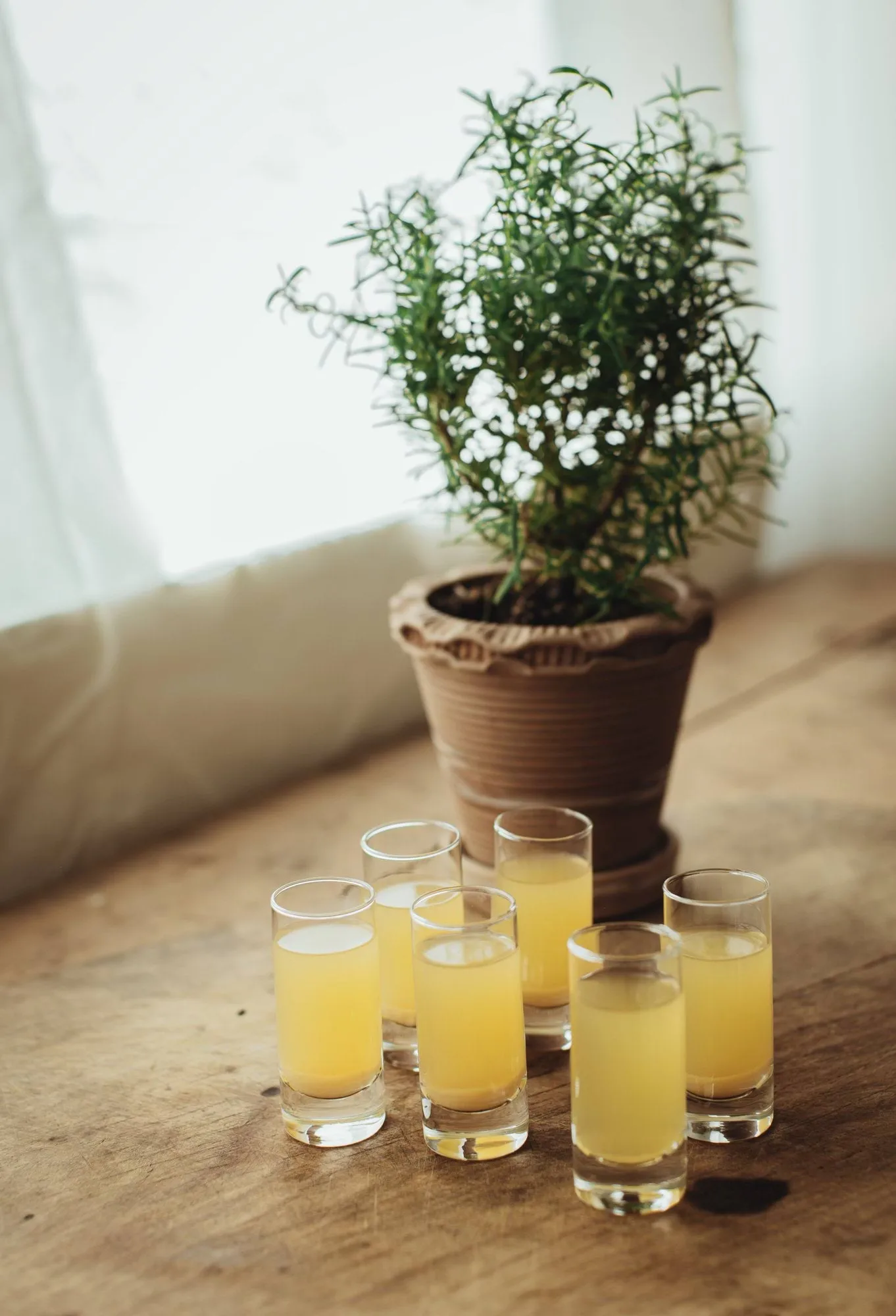 Saba snapsglas, Recht, 6-pack, 6 cl Dorre