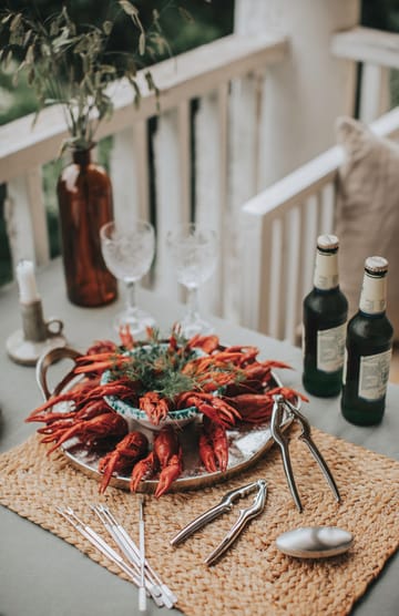 Skagen schaaldierenset 9-delig - Roestvrij staal - Dorre