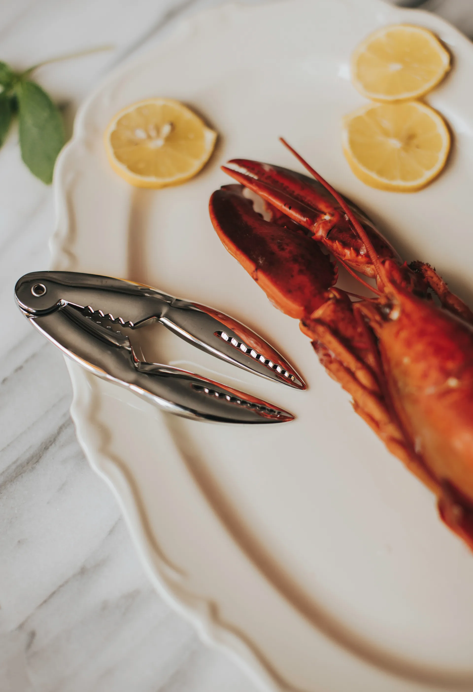 Skai krabtang 13,5 cm, Silver Dorre