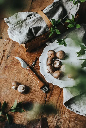 Stuti paddenstoelenmes bruin houten handvat met borstel 13×2 cm - Roestvrij staal - Dorre