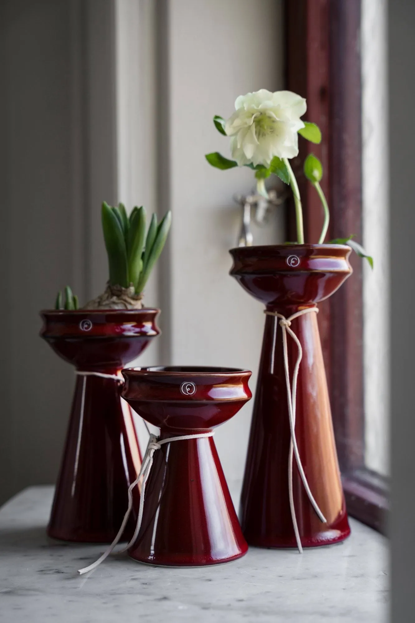 Ernst bolvaas 20 cm, Rood ERNST