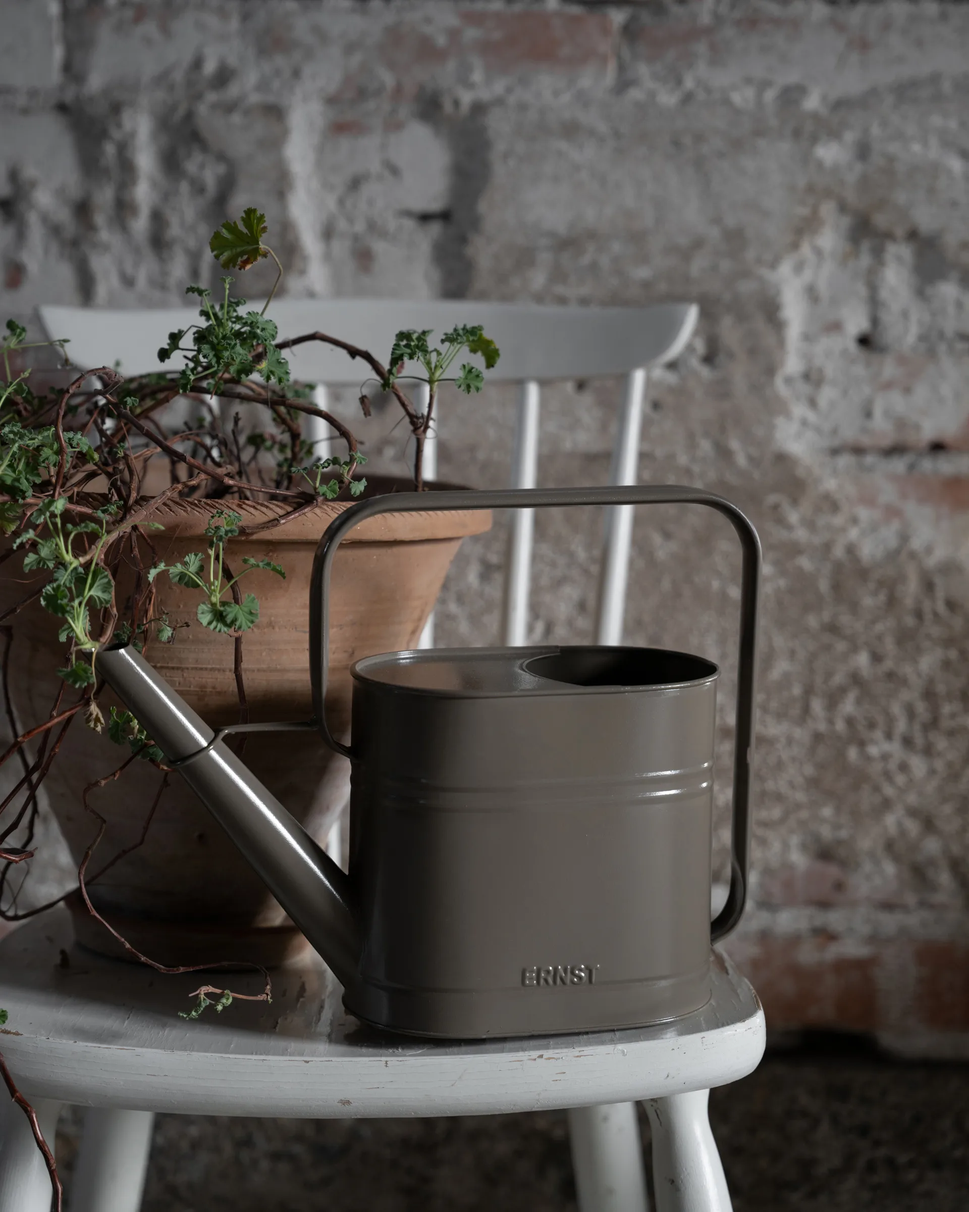 Ernst gieter, Mullvad, 3 L ERNST