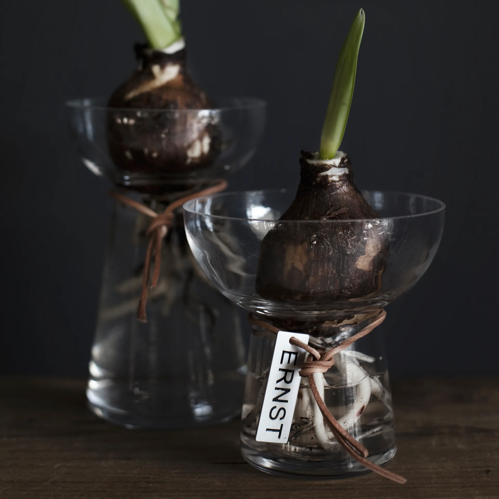 Ernst hyacintvaas 11 cm, Helder ERNST