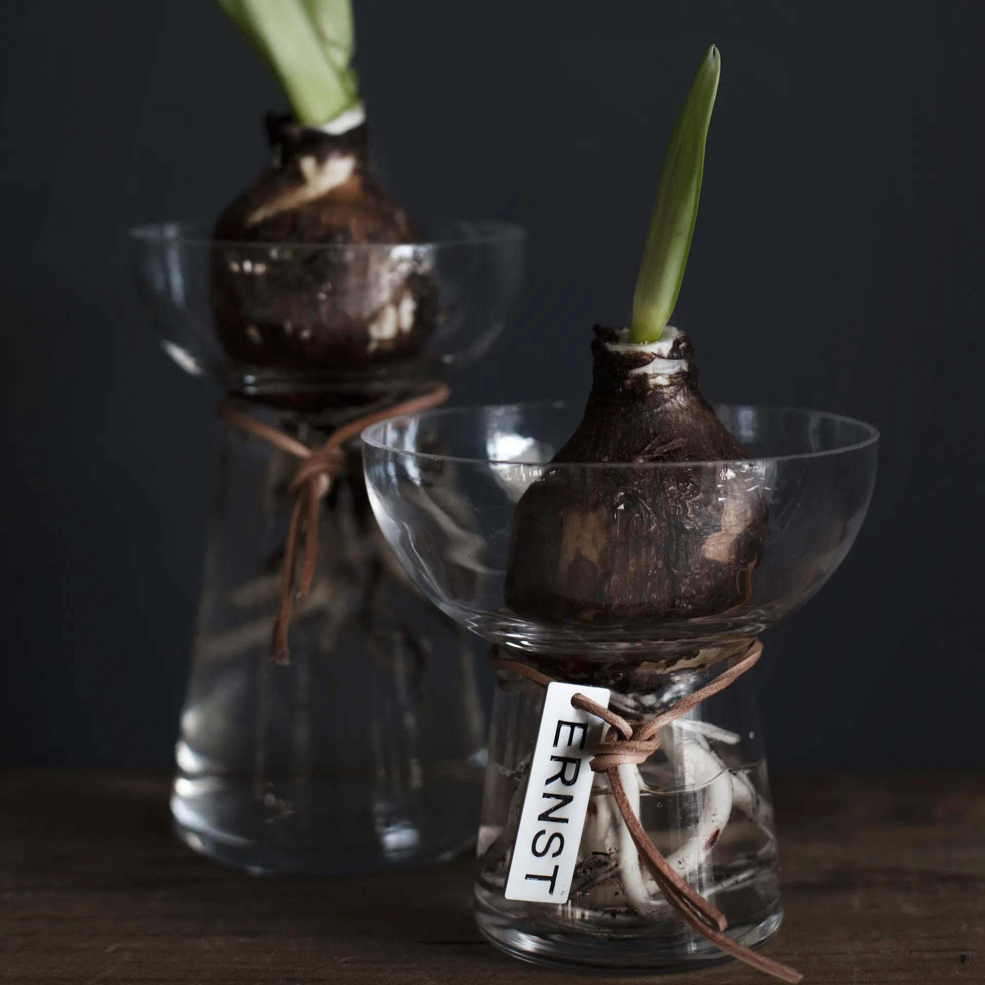 Ernst hyacintvaas 15 cm, Helder ERNST