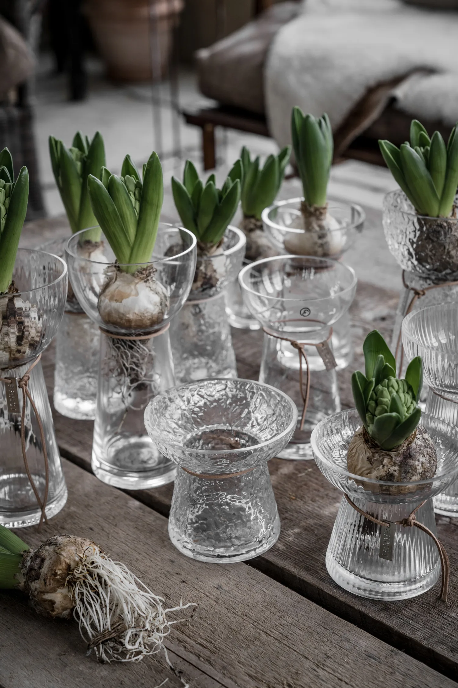 Ernst hyacintvaas motief, 19 cm ERNST