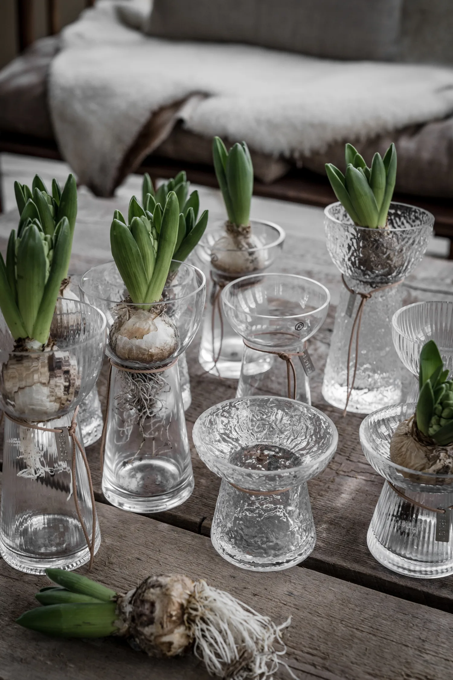 Ernst hyacintvaas motief, 19 cm ERNST