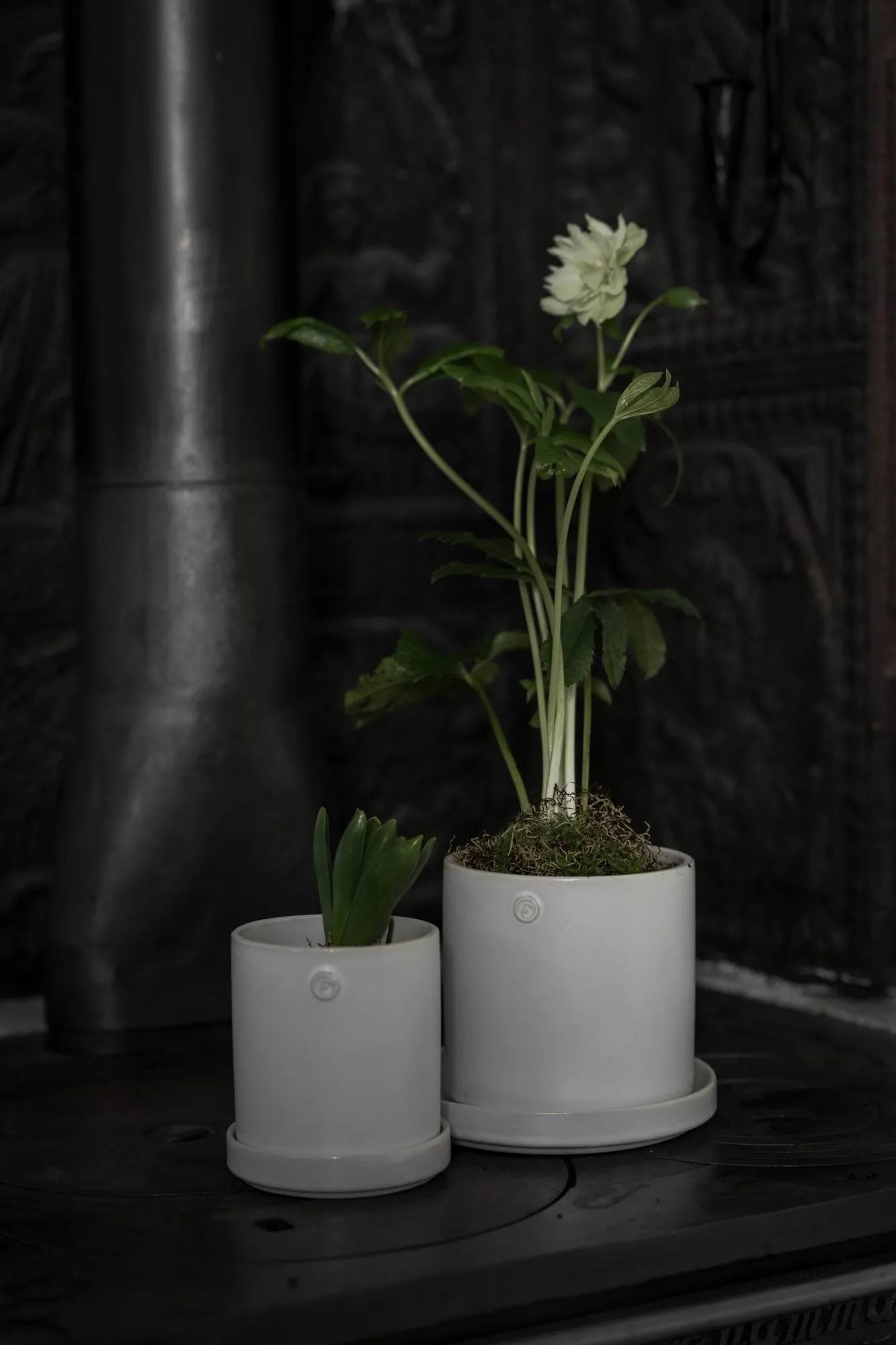 Ernst pot met schotel, Wit, Ø13x13 cm ERNST