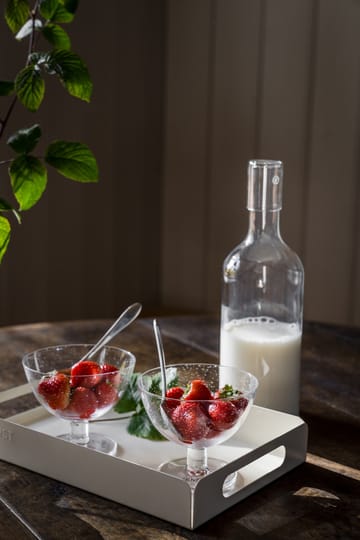 Ernst schaal bubbelglas 2-pack - Helder - ERNST